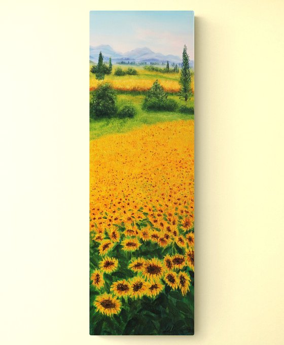 Sunflowers field in Tuscany