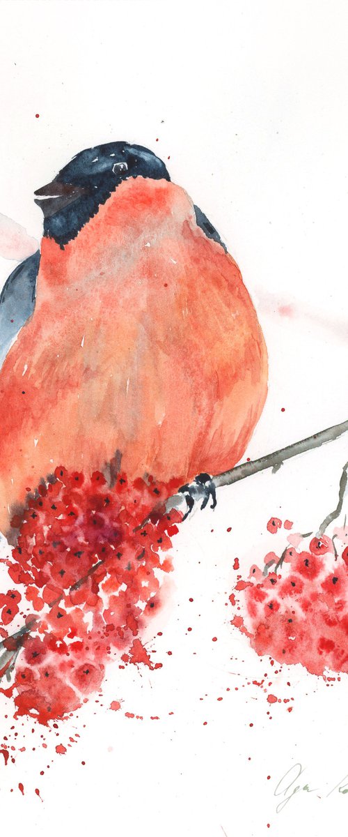 Winter Bullfinch by Olga Koelsch