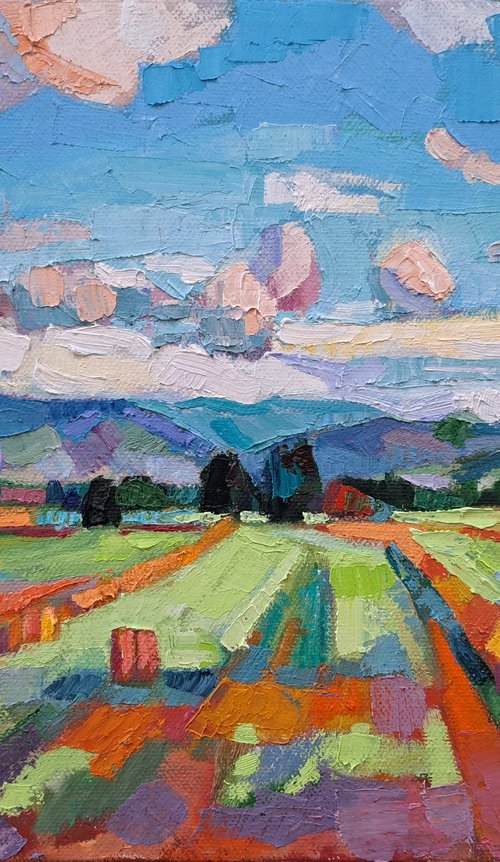 Tuscan fields by Maja Đokić Mihajlović
