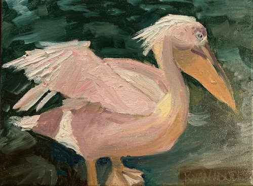 Pelican In St James Park Study 9x12 by Ryan  Louder