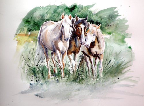 Horses on the field by Kovács Anna Brigitta