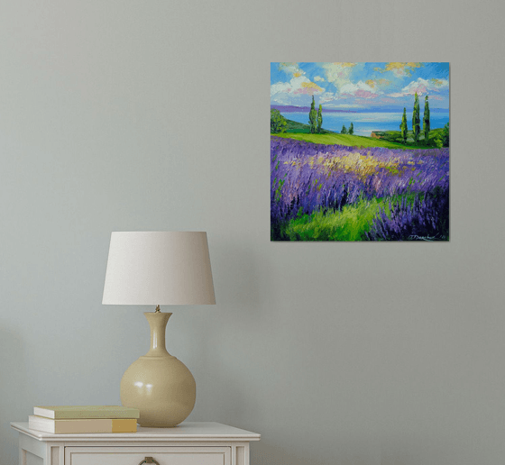 Lavender field