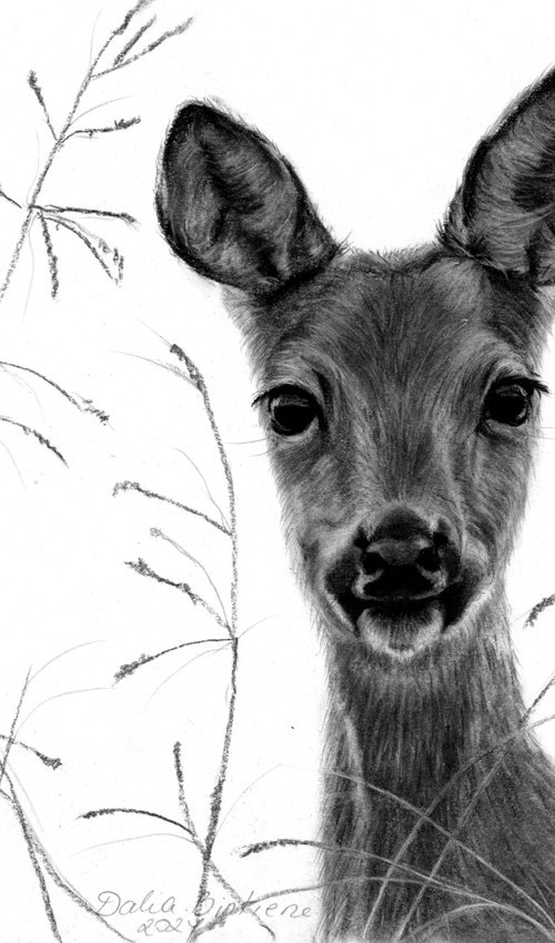 Doe by Dalia Binkiene