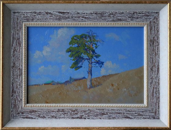 Pine on a hillside. Kyn