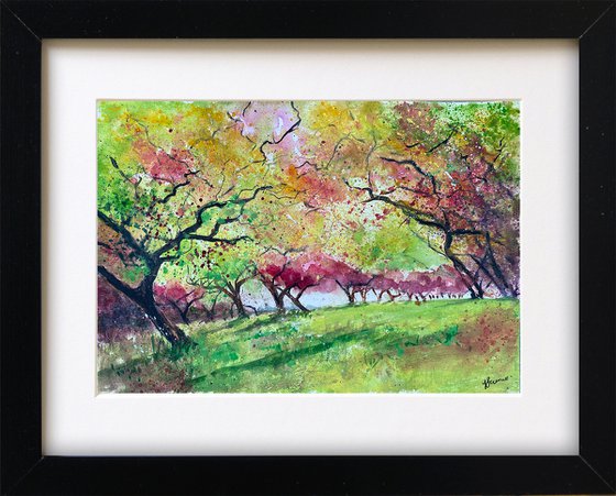 In the Orchard
