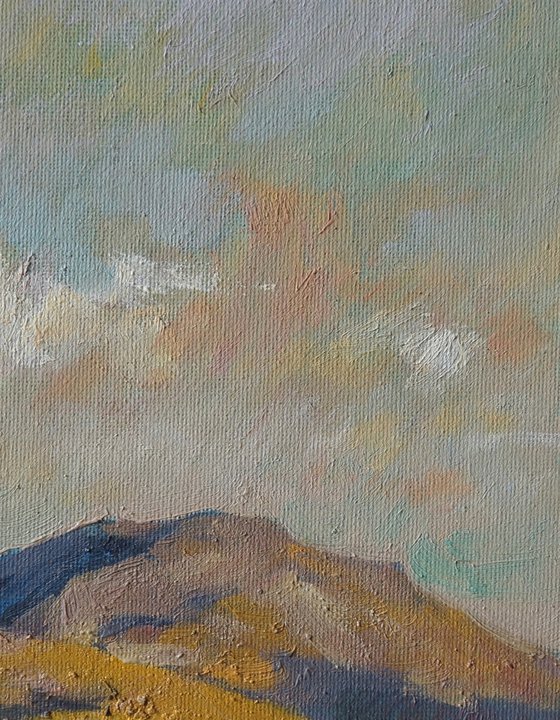 Original Oil Painting Wall Art Signed unframed Hand Made Jixiang Dong Canvas 25cm × 20cm Landscape Clouds over South Park Oxford Small Impressionism Impasto