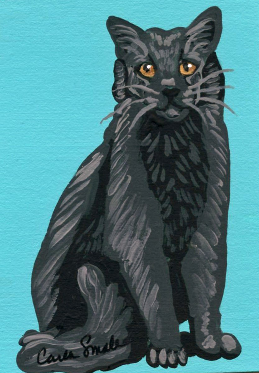 Black Cat by Carla Smale