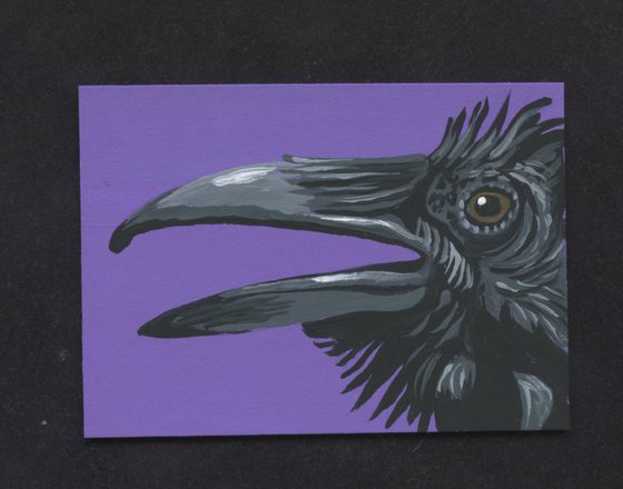 Crow Raven Bird