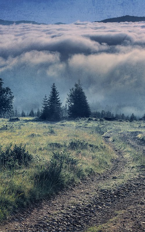 Wall of fog at dawn. by Valerix