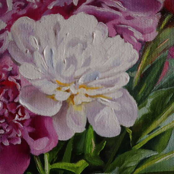 Peonies and Cherries in the Garden