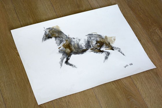 Equine Nude 84t