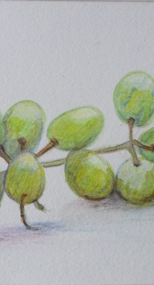 Grapes by Maddalena Pacini