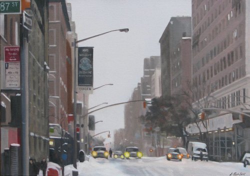 After The Snow: NYC by Alison Chambers