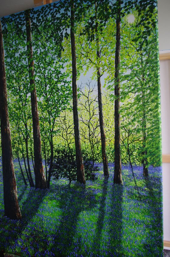 Springtime Shadows