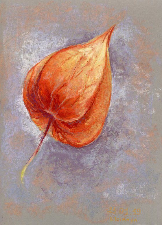 Soft pastel drawing of Physalis