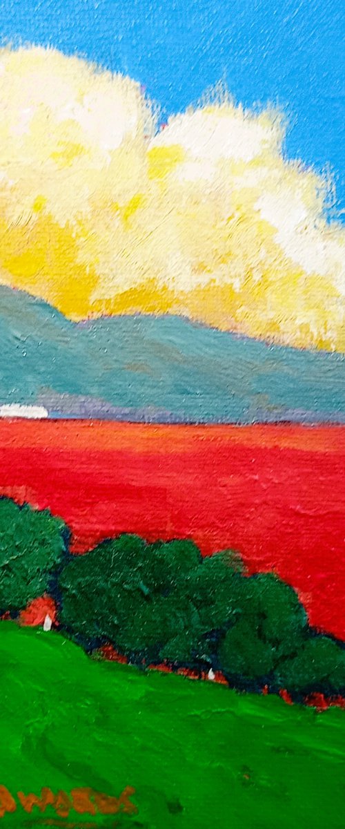 Red Field by David J Edwards
