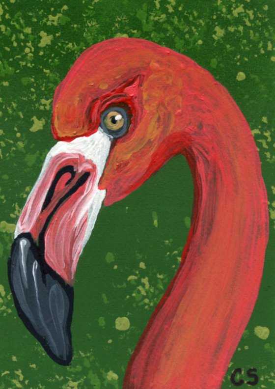 ACEO ATC Original Miniature Painting Flamingo Bird Wildlife Art-Carla Smale