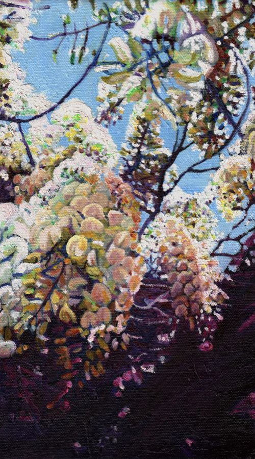 Up into wisteria by Helen  White