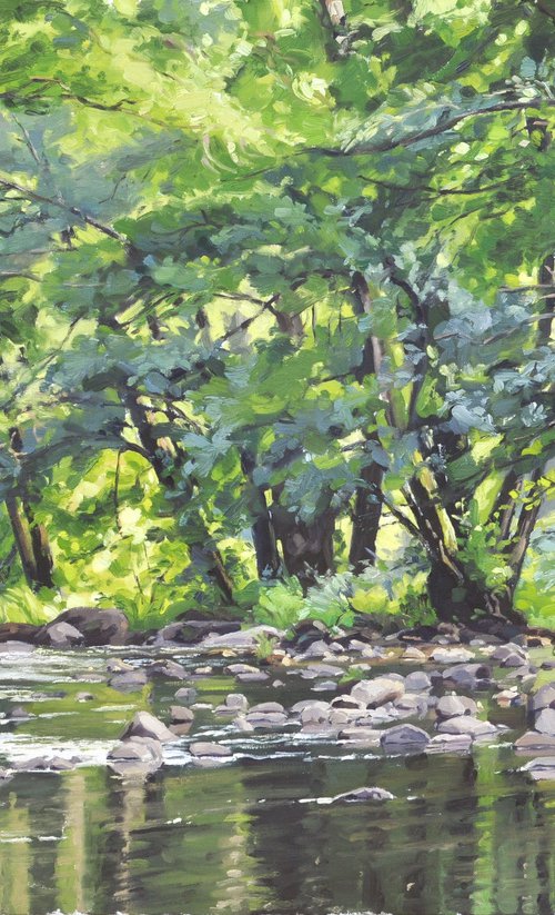 July 20, at the edge of Ance by ANNE BAUDEQUIN