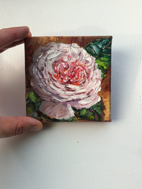 Pink rose original mini still life