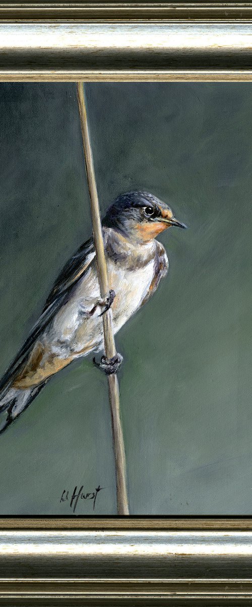 Swallow on a reed by Una Hurst