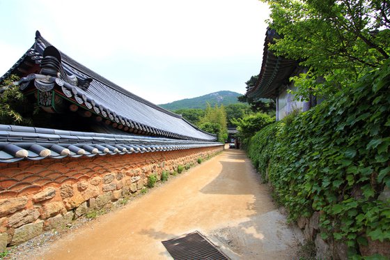 A Narrow Road Beside the Mountain