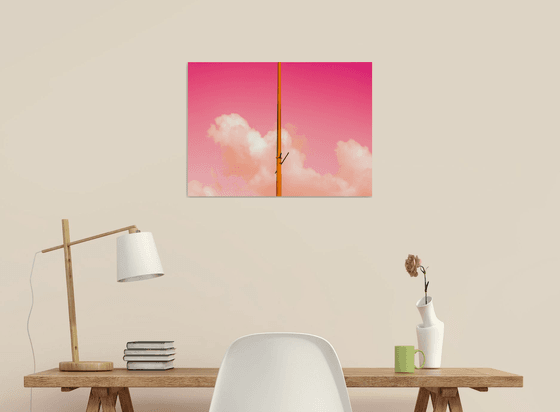 The Pink Half | Limited Edition Fine Art Print 1 of 10 | 45 x 30 cm