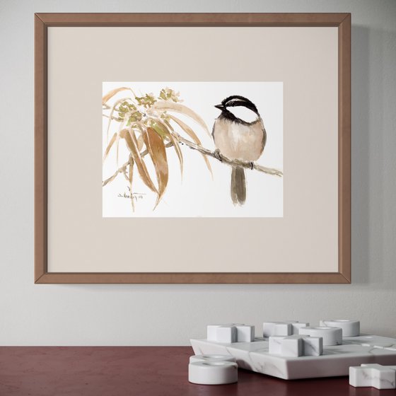Mountain Chickadee