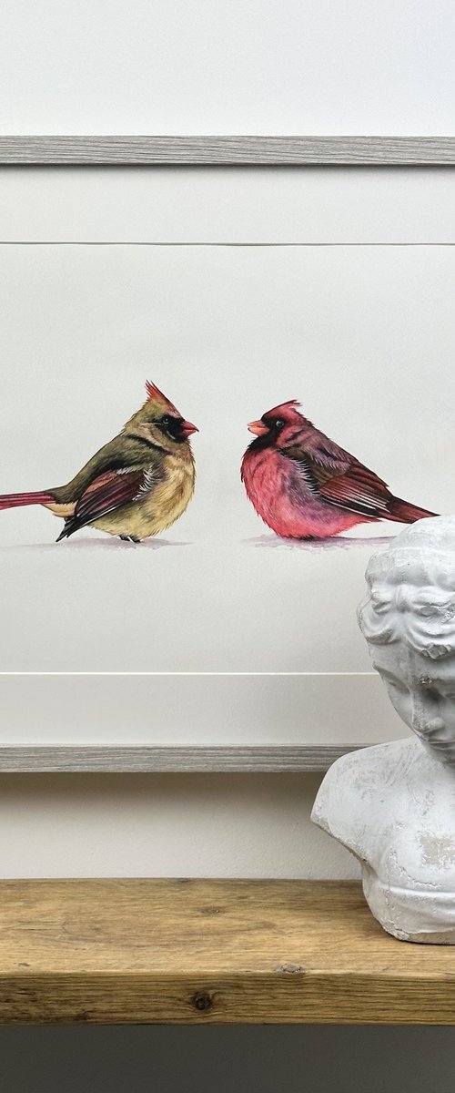 "Companion" Cardinal Watercolour Painting by Irsa Ervin