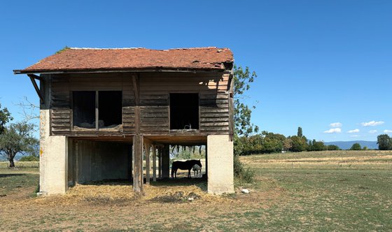 Barn secrets