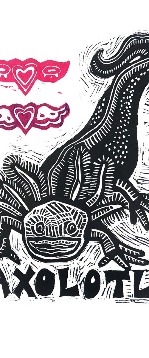Axolotl by Laurel Macdonald