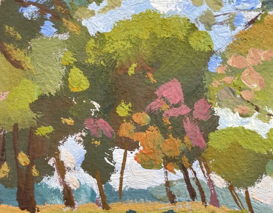 Trees of Santa Ponsa