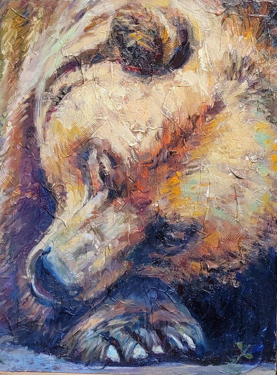 Bear Rest by QI Debrah