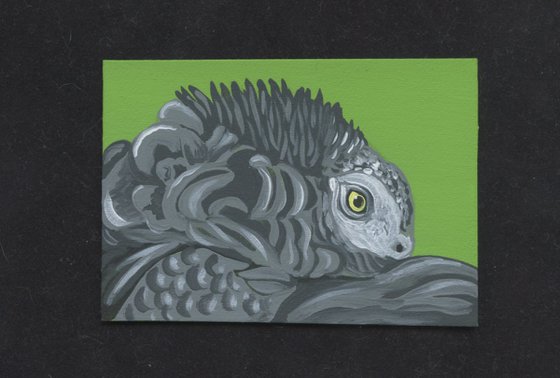 ACEO ATC Original Miniature Painting African Gray Parrot Pet Bird Art-Carla Smale