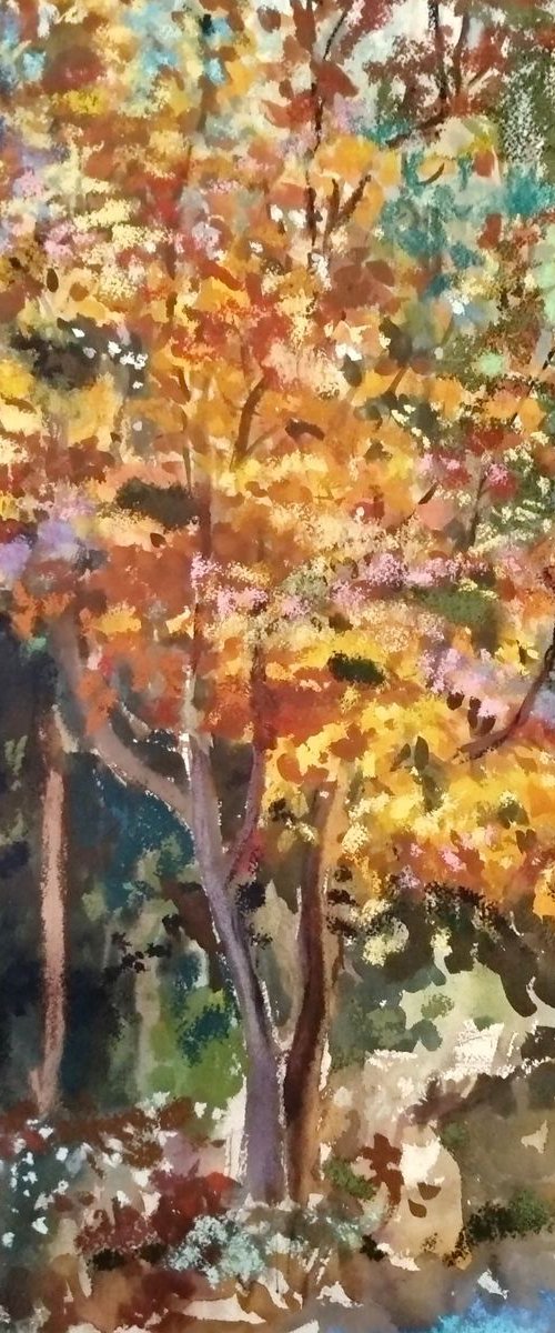 Autumn by Marina Del Pozo