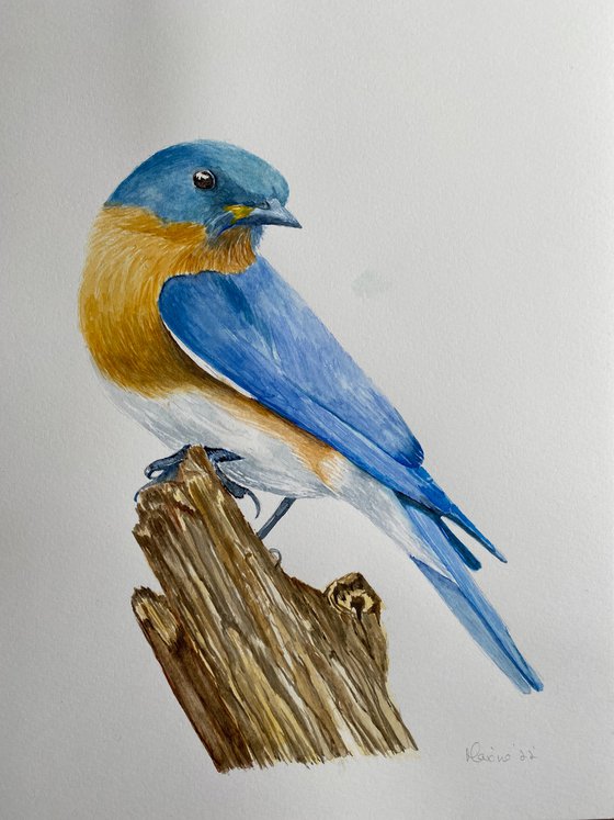 Bluebird