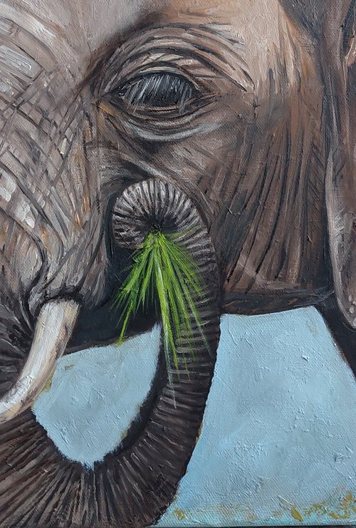 Grey Majesty by Ira Whittaker