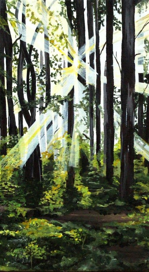Enchanted Woods by Dipti Janardhana