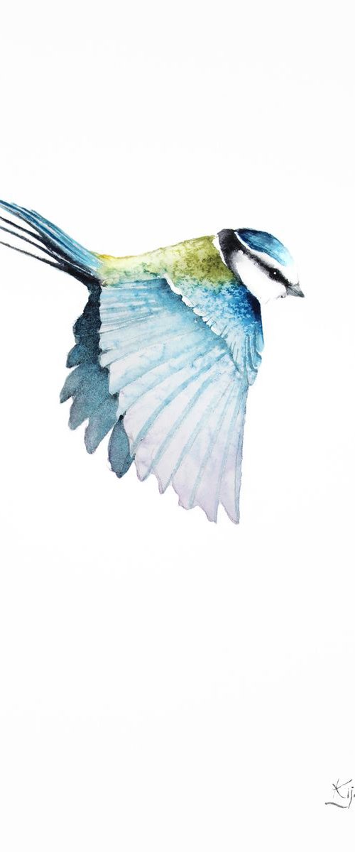 Blue Tit,  birds, wildlife and animals watercolours by Karolina Kijak