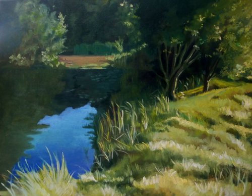 Woodland Lake by Alison  Chaplin