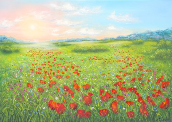 Poppy field in summer 5