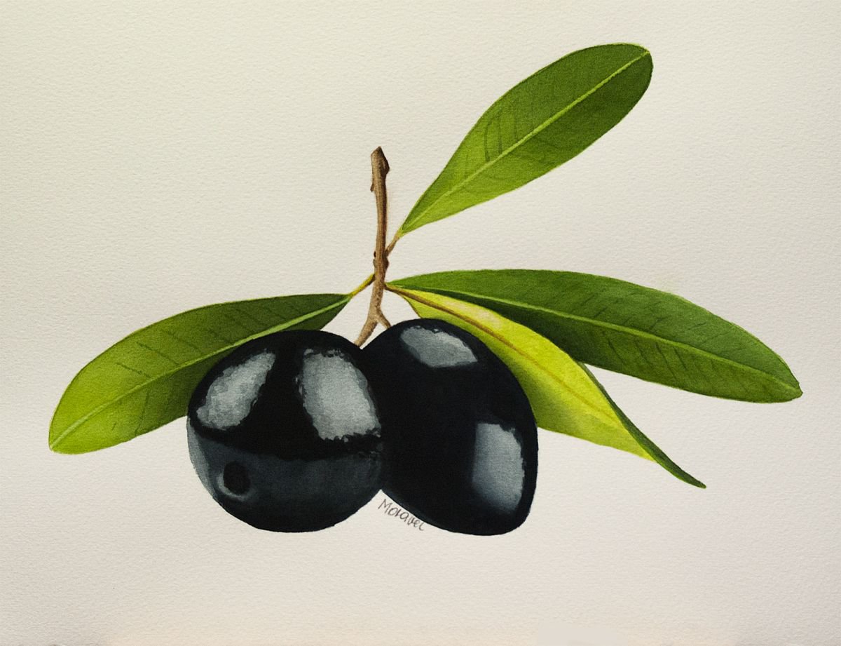 Black Olives by Dietrich Moravec