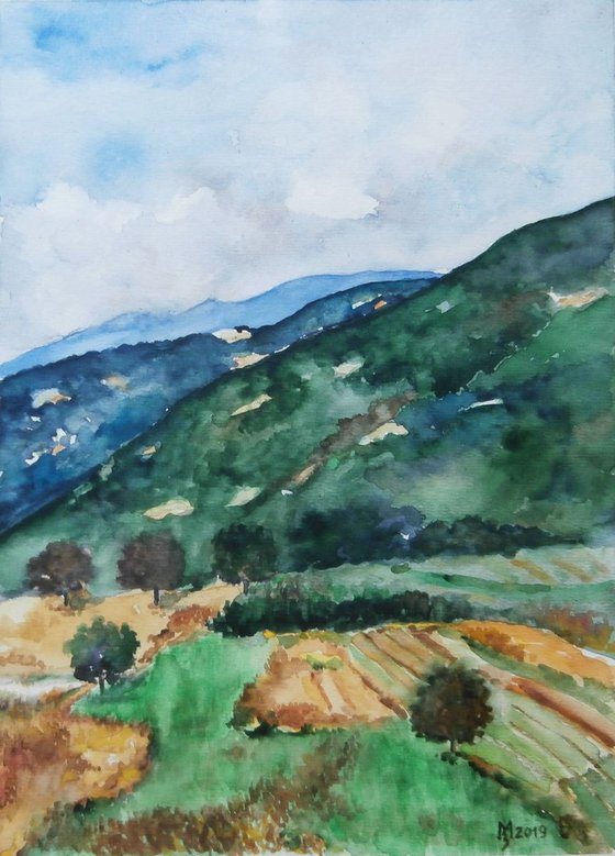 HILLY LANDSCAPE