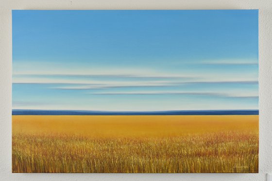 Field of Gold - Blue Sky Landscape