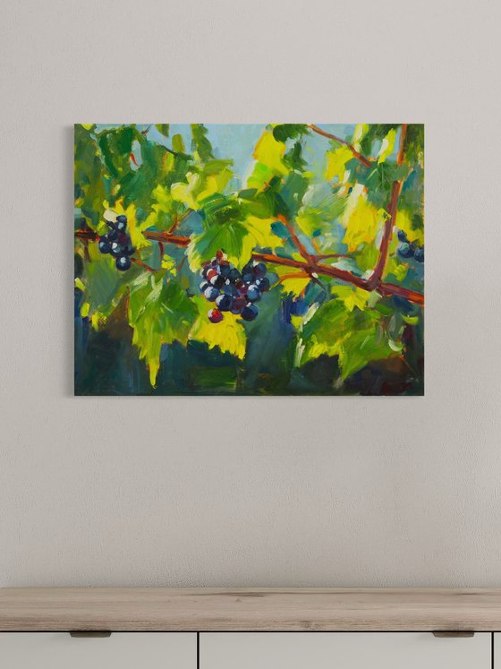 Sun-Kissed Grapes