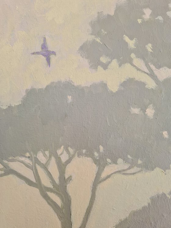 Hazy Tropical Scenery