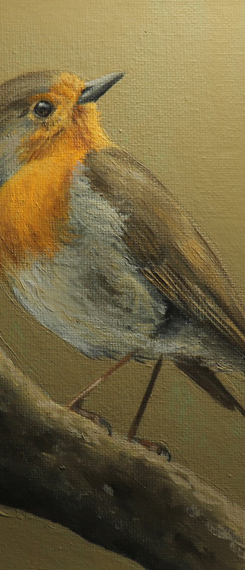 Robin Painting Bird Artwork by Alex Jabore