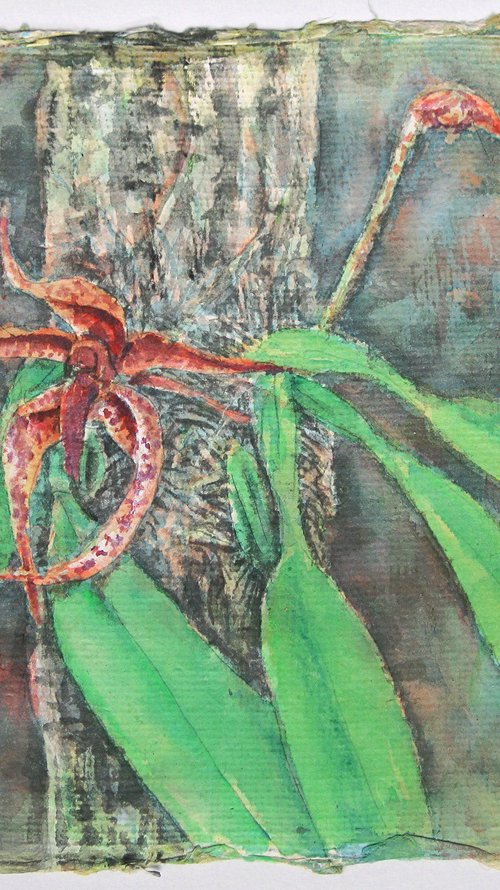 B. Meen Garuda by Gordon T.