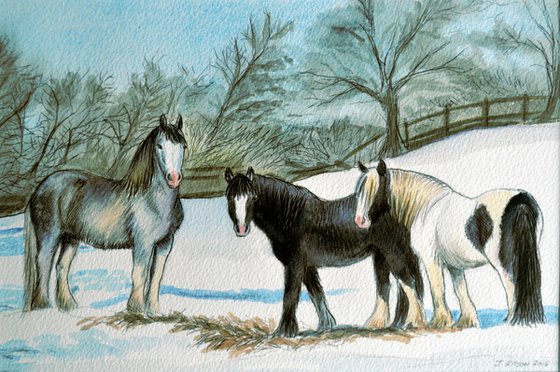 Winter Woollies - Ponies at Black Lane