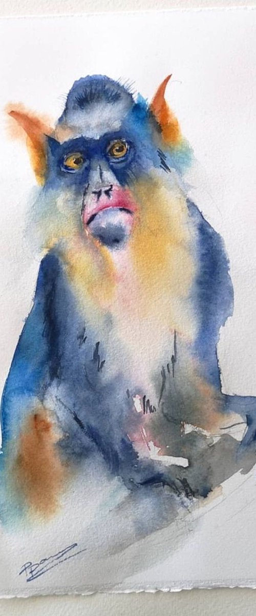 Bright monkey (series Bright color animals 6 of 6) by Olga Tchefranov (Shefranov)